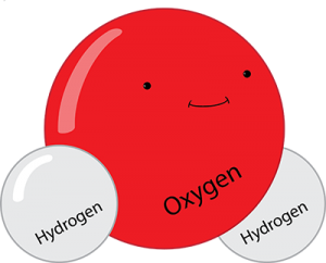 water molecule