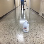 Richard Laying the Second Coat